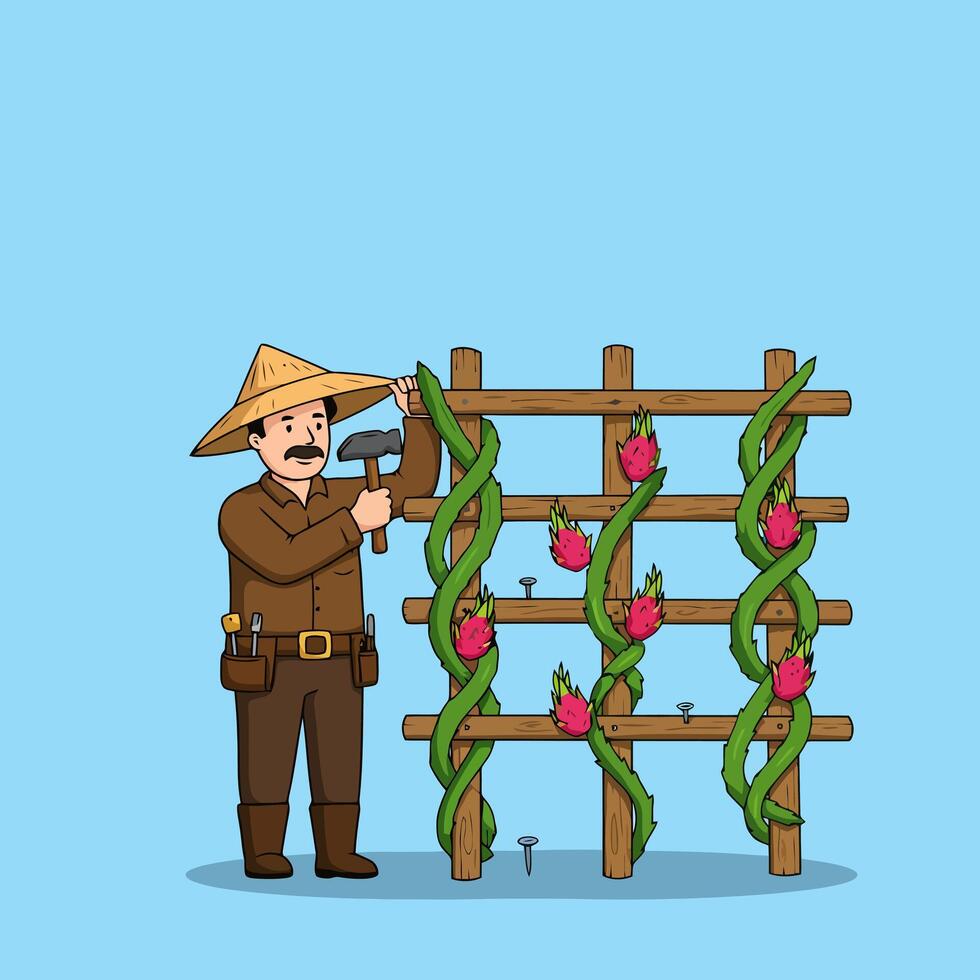 Farmer Building Trellis for Dragon Fruit Plants Cartoon vector