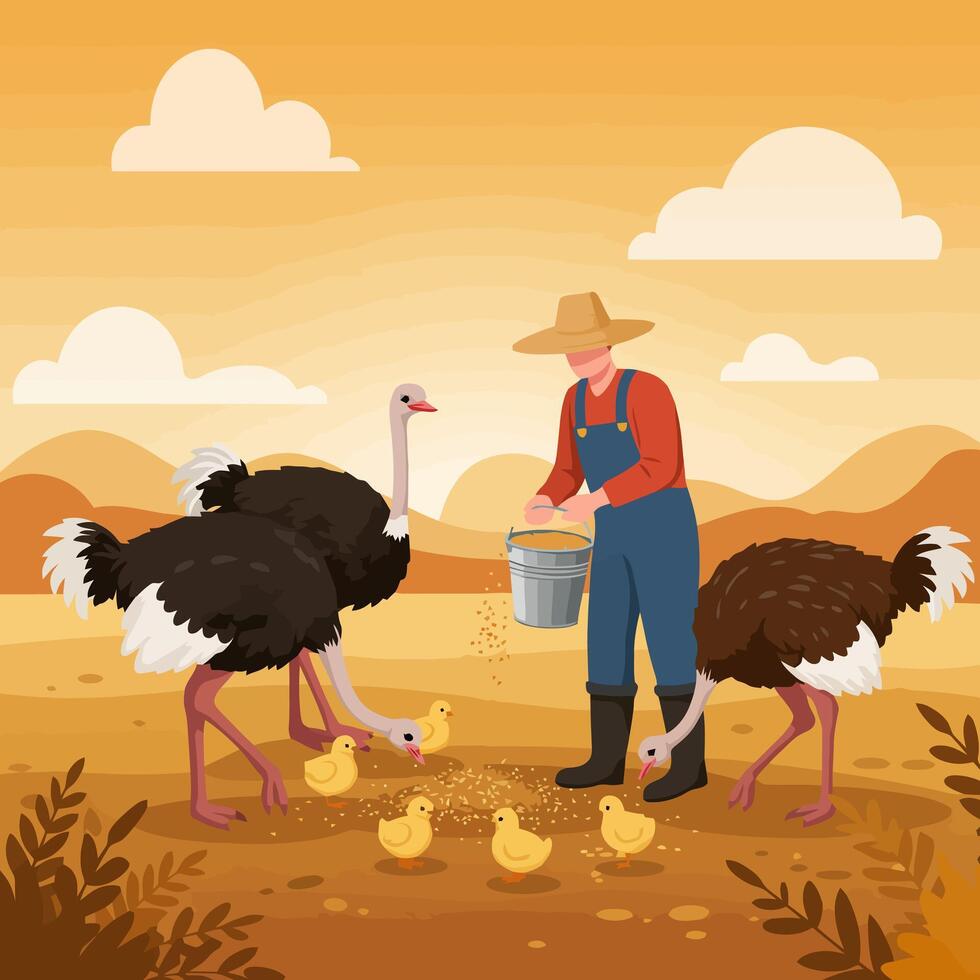 Farmer Feeding Ostriches and Chicks in Field vector