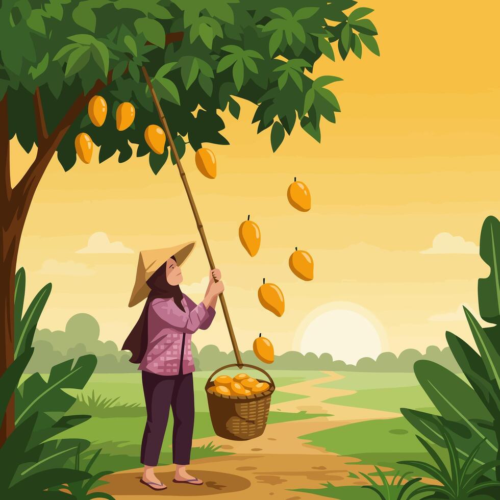Woman Harvesting Mangoes From Tree with Long Pole vector