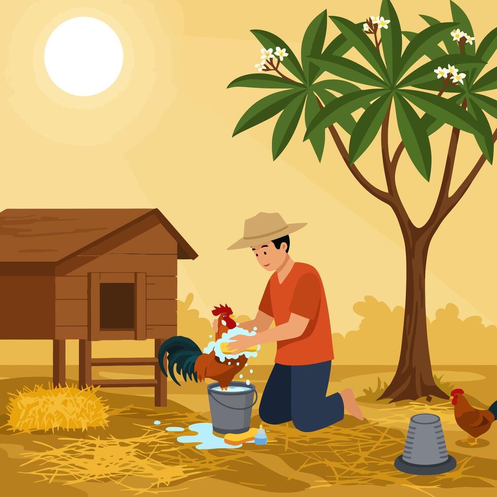 Man Bathing Rooster Outdoors on Farm During Daytime vector