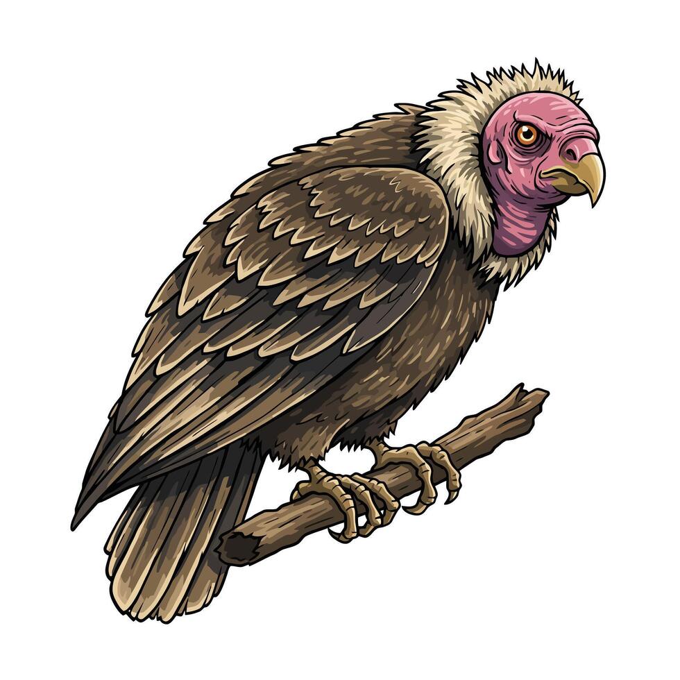 Vulture Perched on Branch Detailed Illustration vector