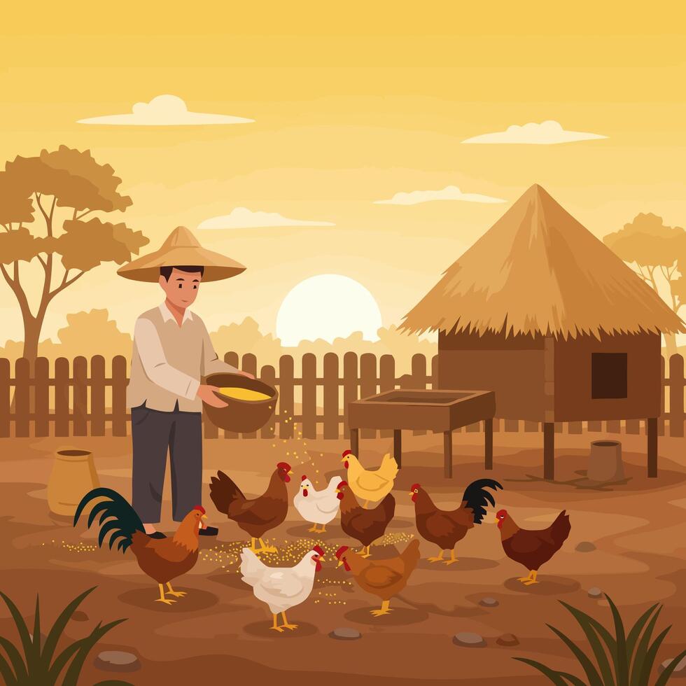 Feeding Chickens on Farm at Sunrise Peaceful Rural Scene vector
