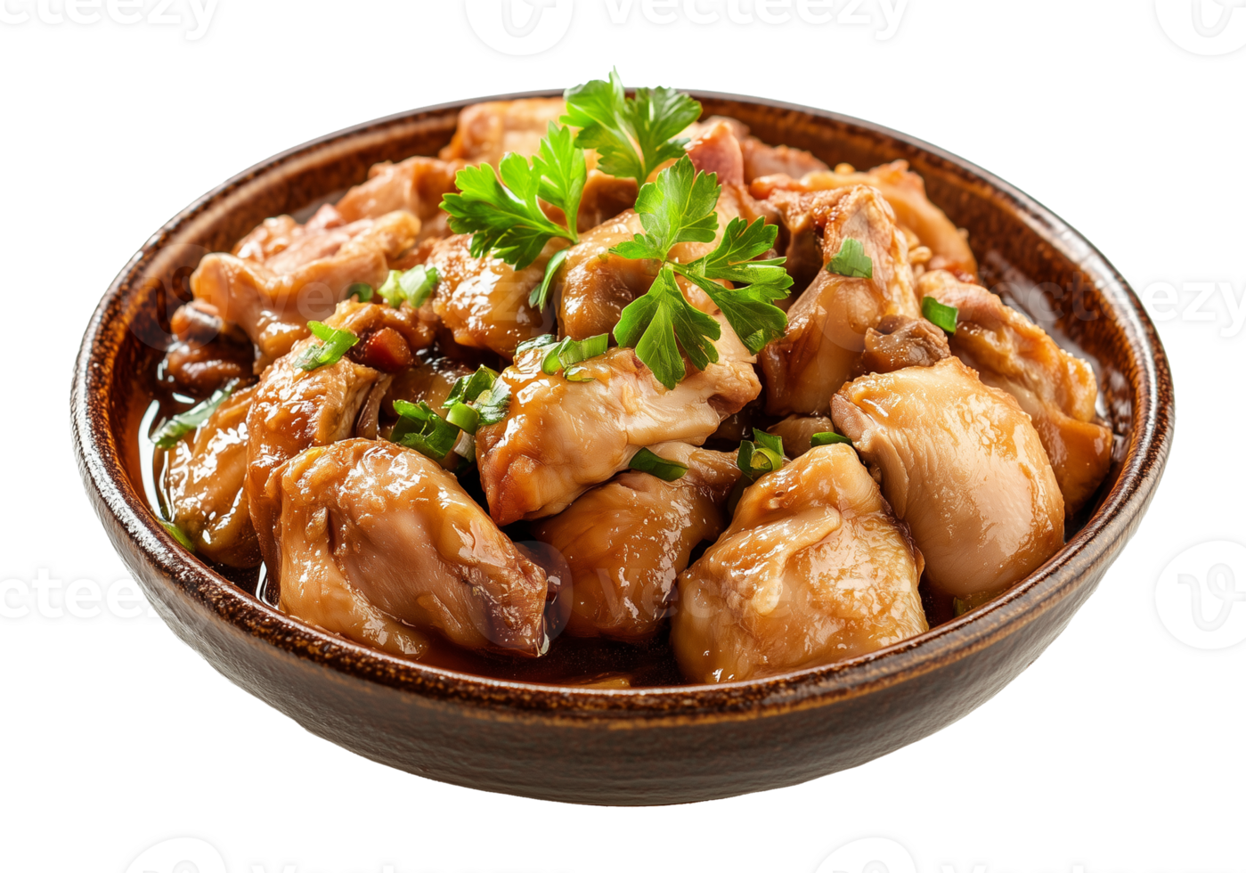 Chicken adobo Philippines Filipino Dish Isolated on Transparent Background png
