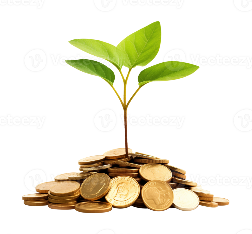 Small plant growing on stack of gold coins Isolated on Transparent Background png