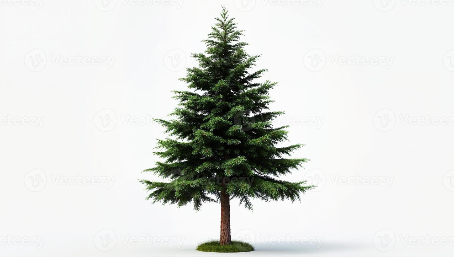 Realistic green evergreen tree with a sturdy trunk and lush foliage on a plain white background suitable for various design and decoration projects photo