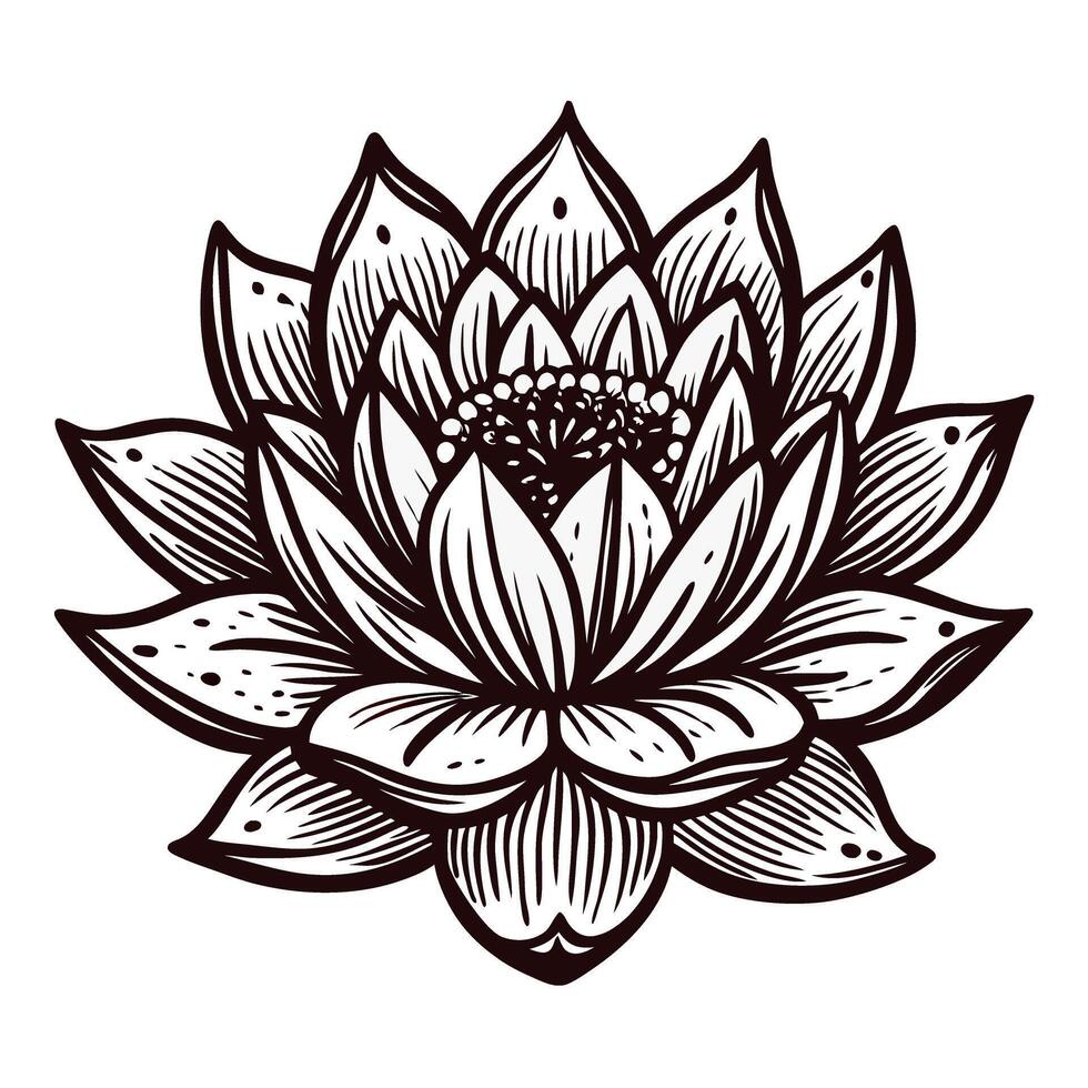 Black and white lotus flower showcasing detailed petals and intricate design vector