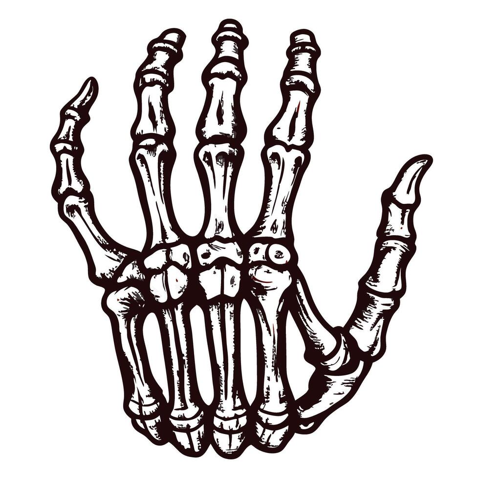 Detailed of a skeletal hand with outstretched fingers vector