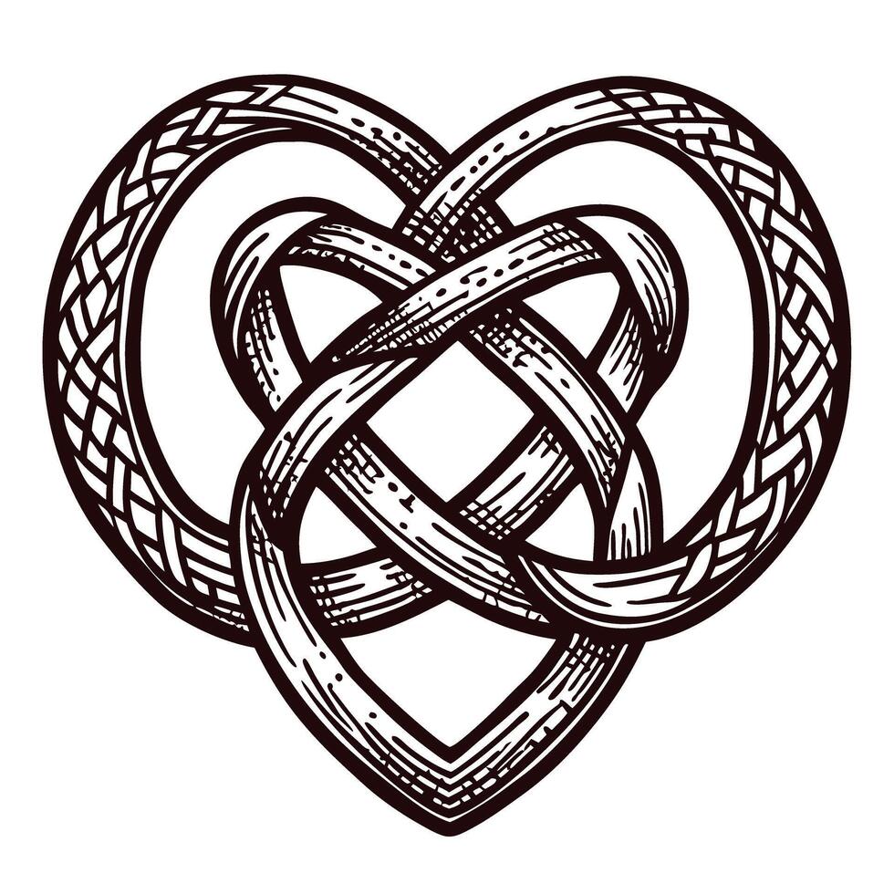 Intricate celtic knot heart design with interwoven loops and patterns vector