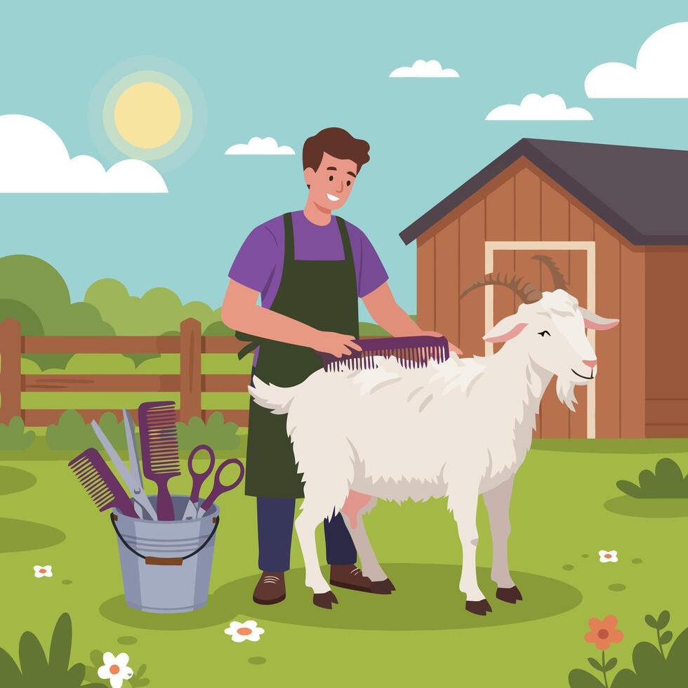 Person Grooming Goat with Comb on Farm vector