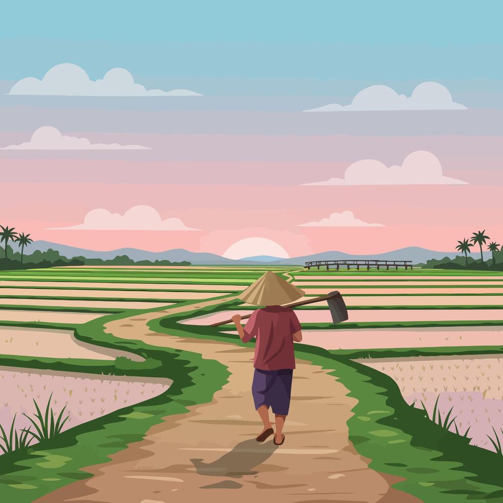 Walking Farmer on Path Through Rice Fields at Sunset vector