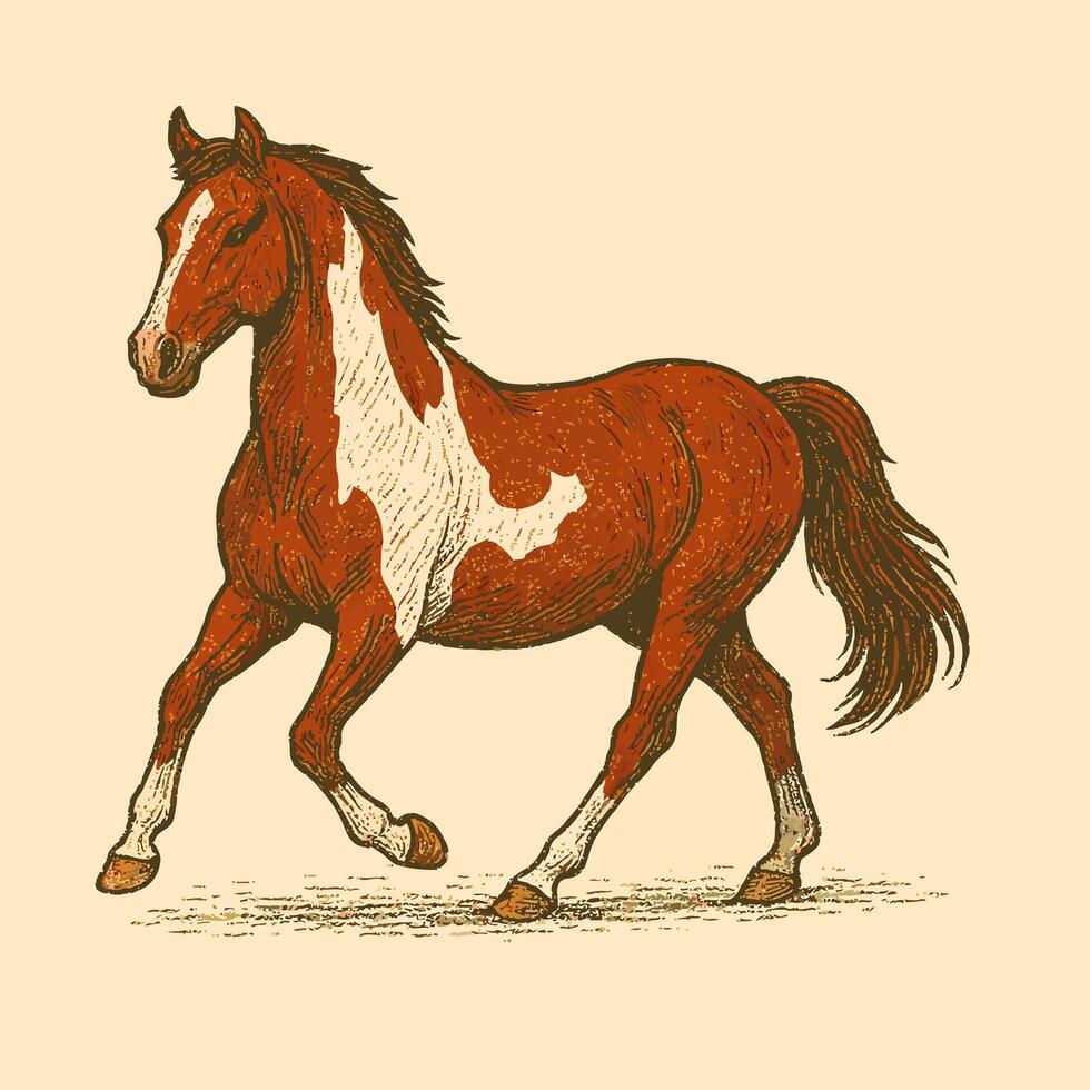 Running Chestnut Horse with White Markings Illustration vector