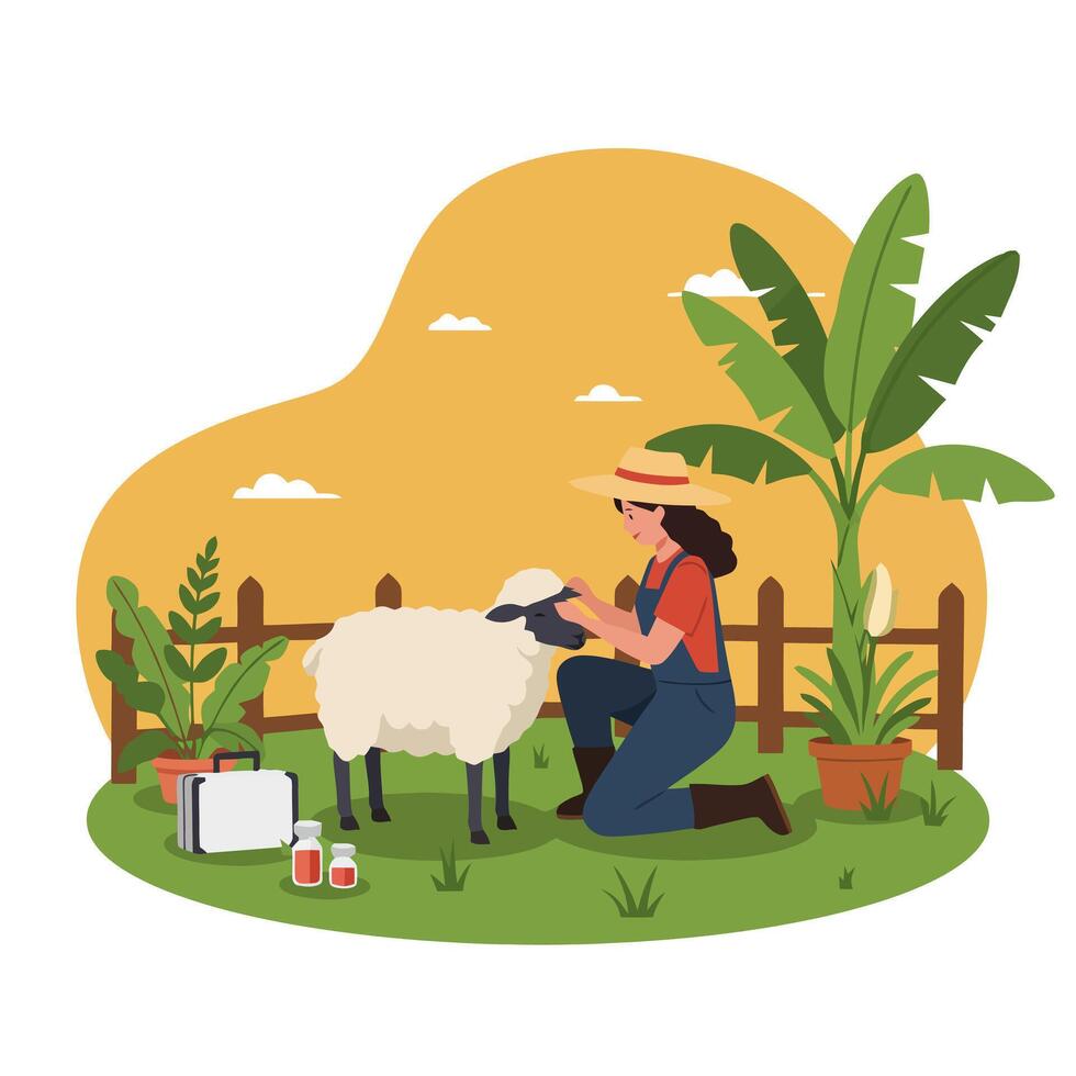 Woman Examining Sheep on a Farm on Sunny Day vector