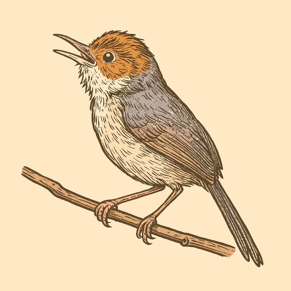 Singing Bird Perched on Branch Drawn Illustration vector