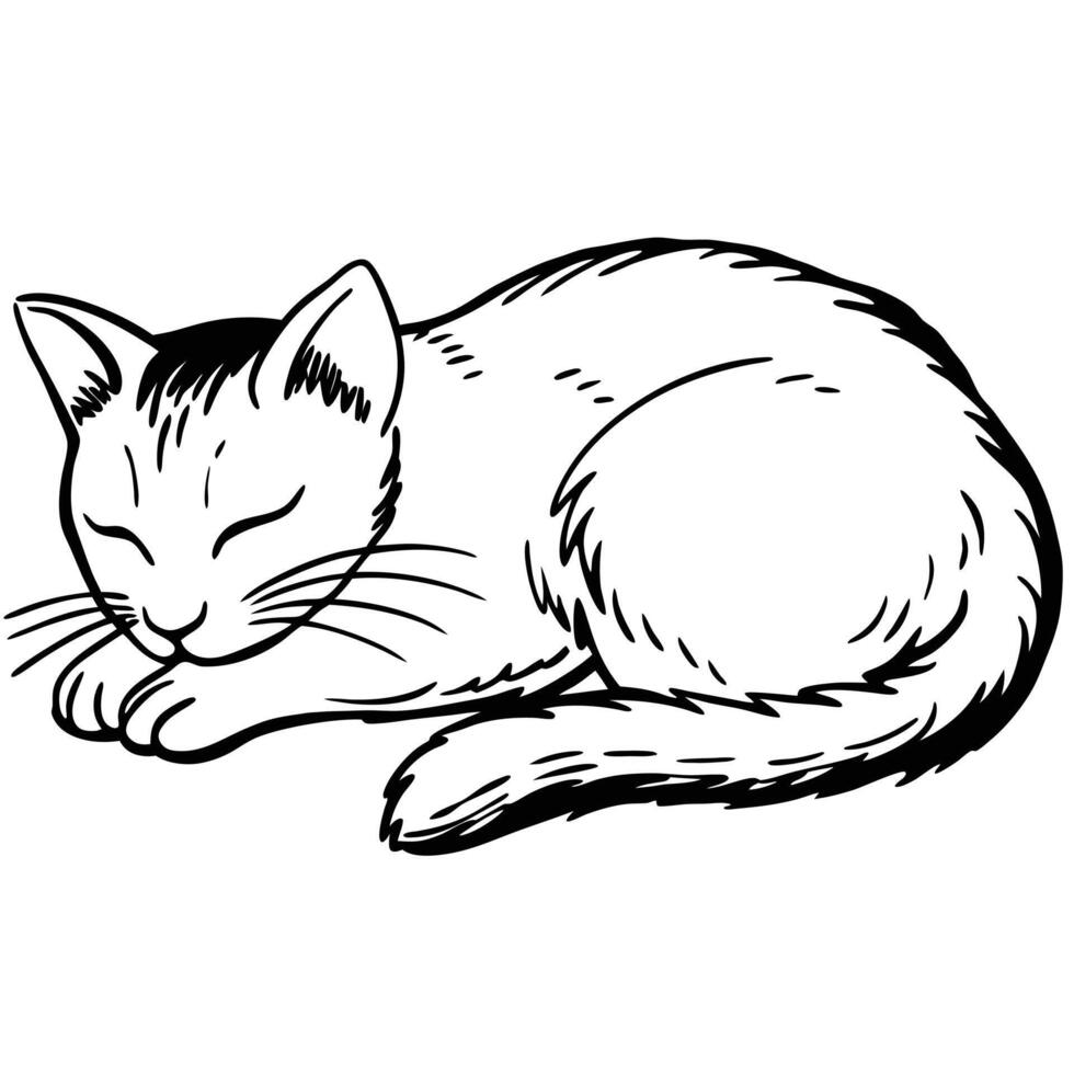a black and white drawing of a sleeping cat vector