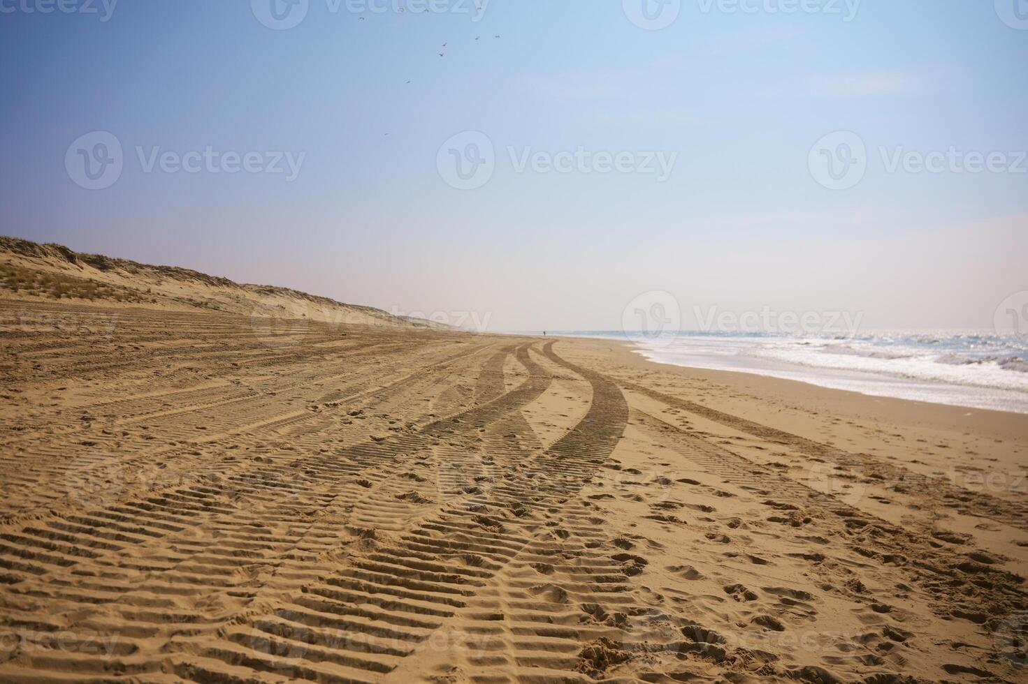 Tire tracks on empty sandy beach under clear sky near calm ocean waves photo