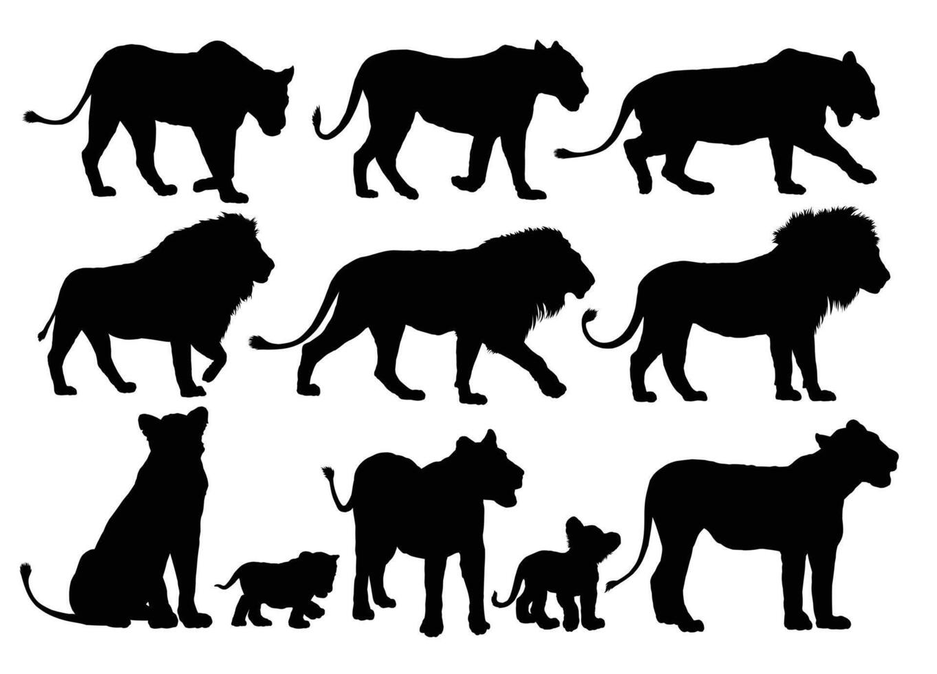 Set silhouettes of lions. vector