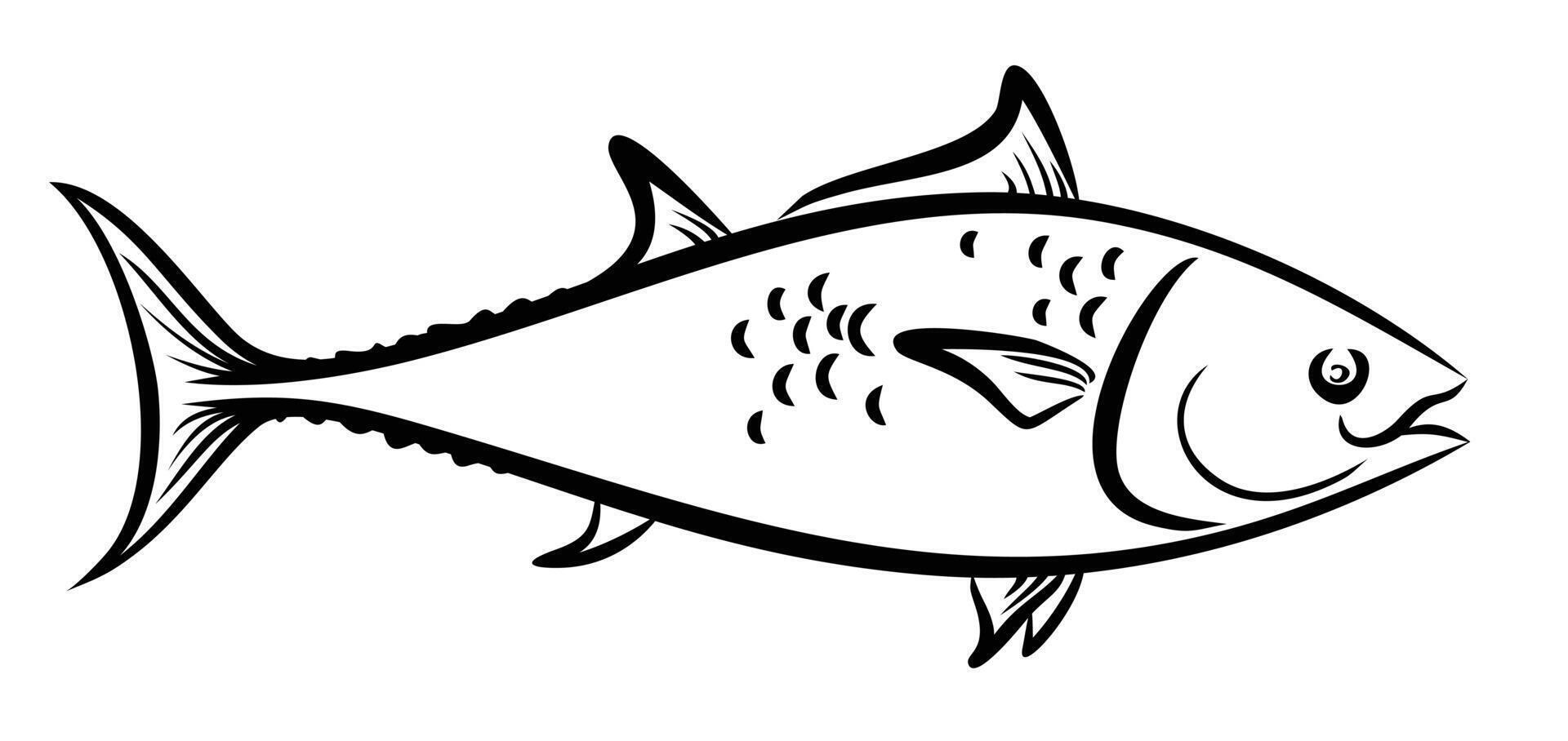 Sketch of big sea fish. vector