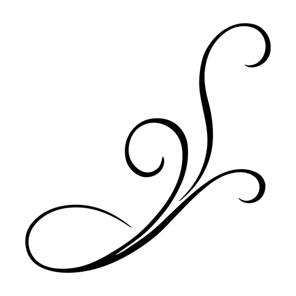 Graceful calligraphic swirl ornament, perfect for vintage design and invitations vector