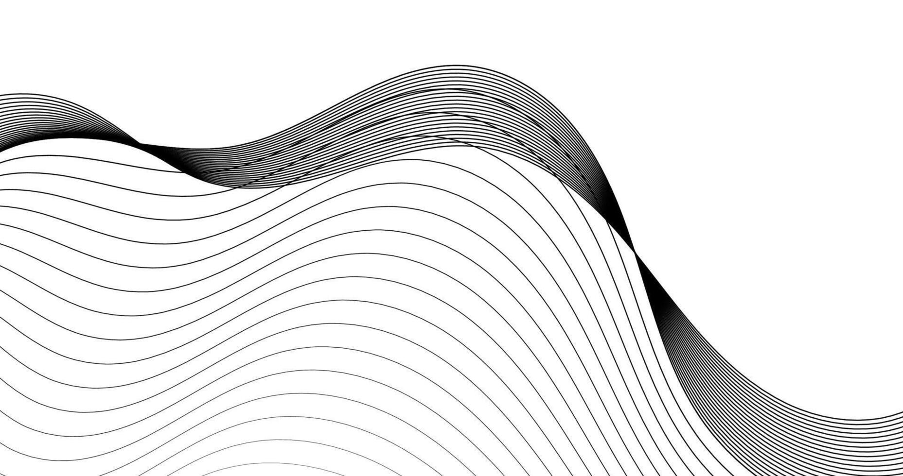 Abstract White background with Black wavy lines illustration. vector