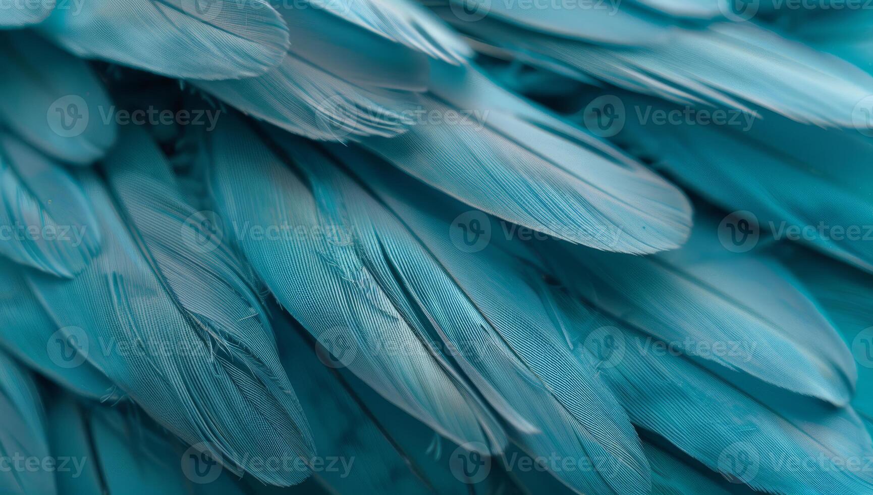 Turquoise feathers are arranged closely together, showcasing their vivid color and delicate textures under natural light, inviting admiration photo
