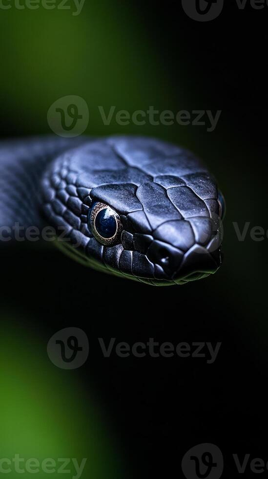 A close view of a black mamba snake highlighting its glossy scales and piercing eyes, set against a blurred green backdrop during daylight photo