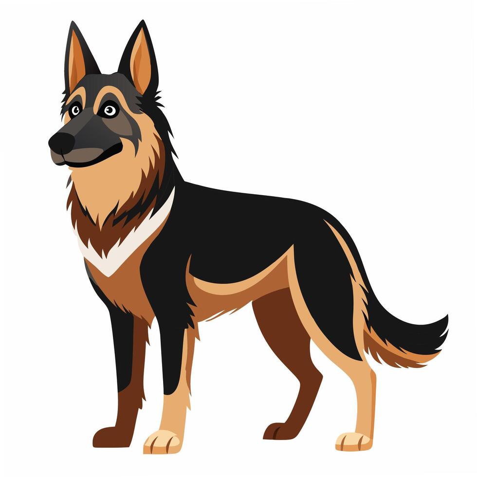 Cute realistic shepherd dog standing.Isolated on white background. Suitable for posters,sticker, logo, children's books and encyclopedias. vector