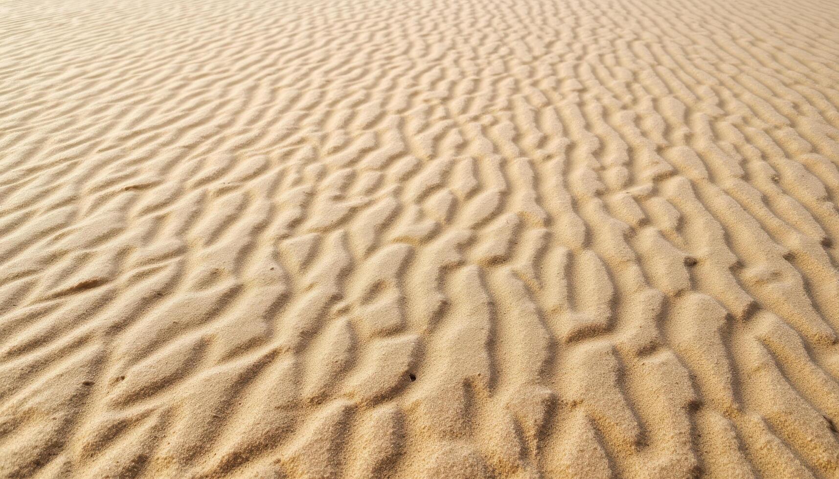 The surface of rippled sand, sculpted by the wind and tide, creating intricate patterns. photo
