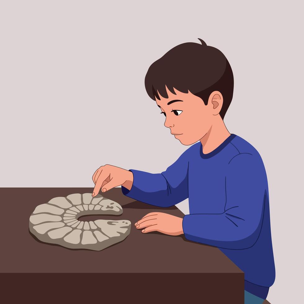 Curious young boy in blue shirt examining large fossil shell on table in flat minimal art illustration with thoughtful scientific mood vector