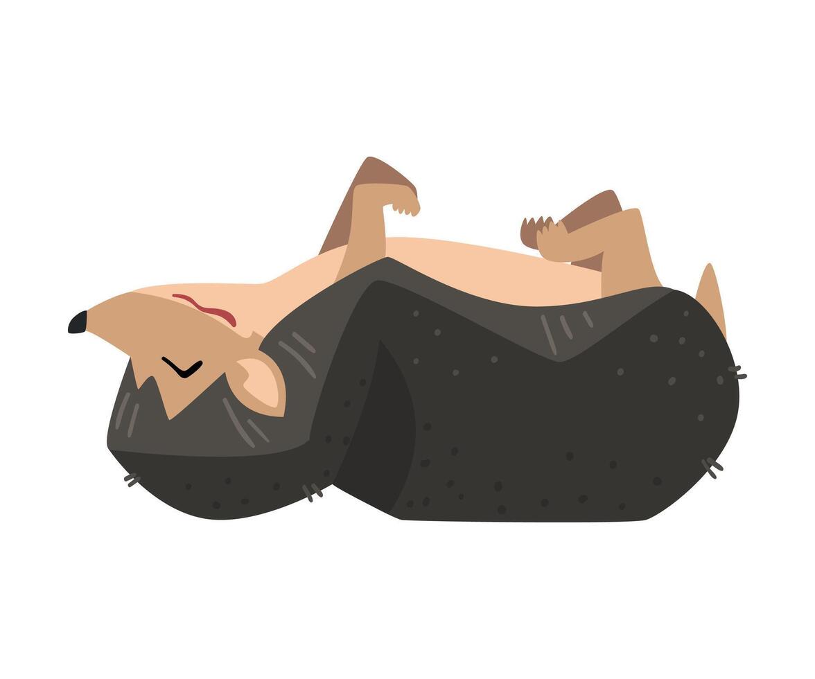 Cute Hedgehog Sleeping on Its Back, Adorable Prickly Wild Forest Animal Cartoon Character Illustration vector