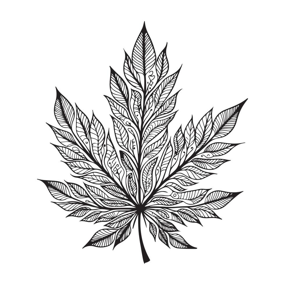 a black and white drawing of a leaf with a pattern vector