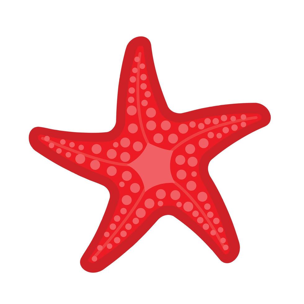 red starfish isolated on a white background vector
