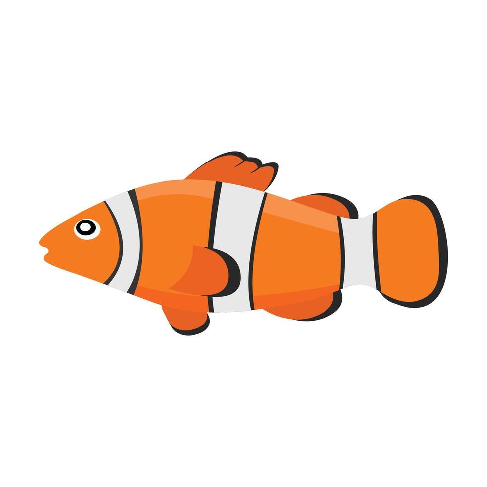 isolated nemo fish on a white background vector