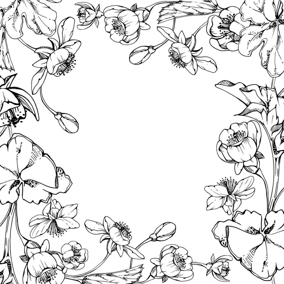 Spring white flowers with leaves, forest cloudberry apple cherry sakura anemone primrose ephemera, hand drawn ink. Square frame isolated illustration, for wedding, florist shop, scrapbooking vector
