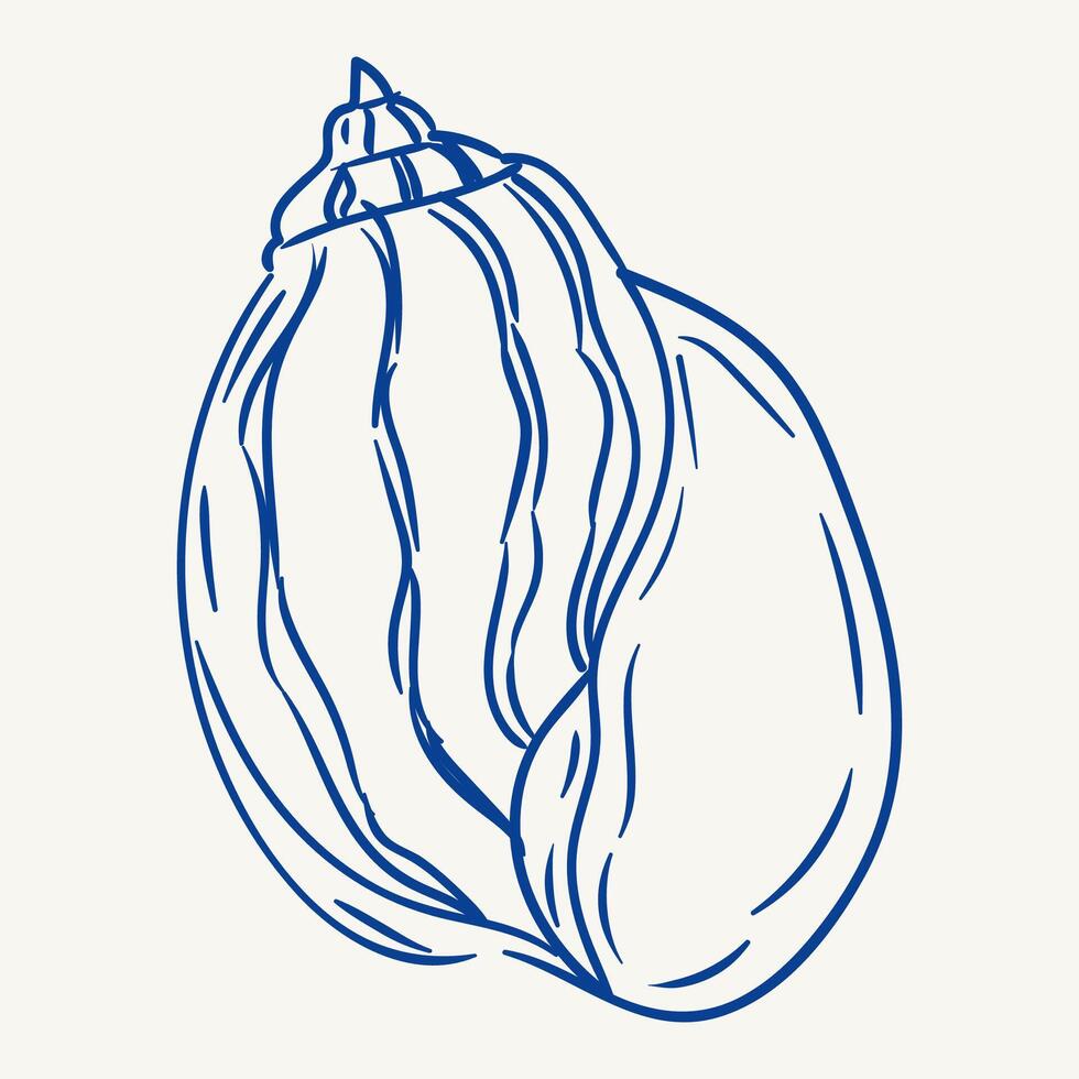 Decorative shell illustration showcasing intricate lines and curves in blue vector