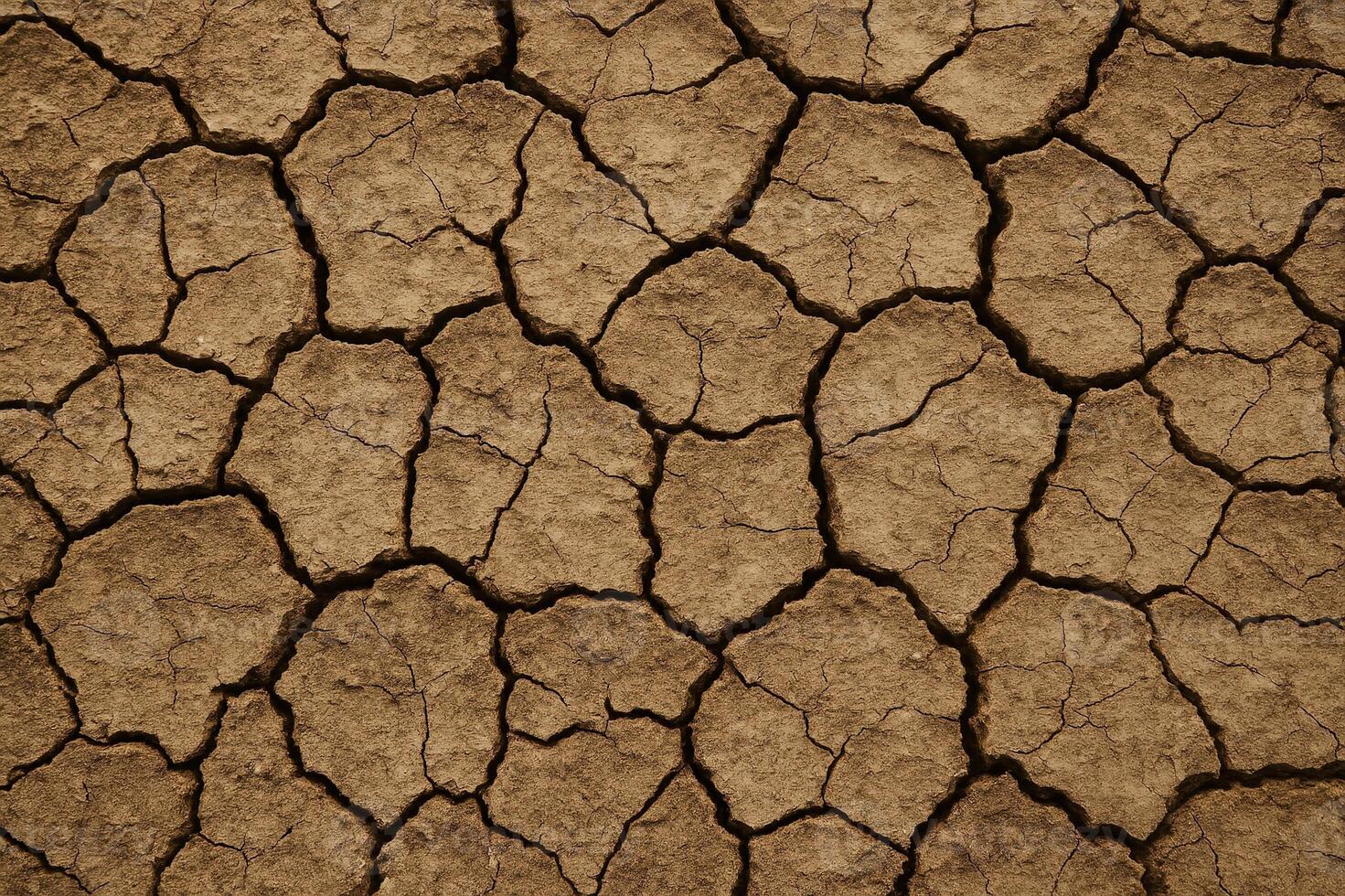 Cracked Dry Earth With Soil Texture Depicting Drought and Climate Change Concept in Natural Background photo