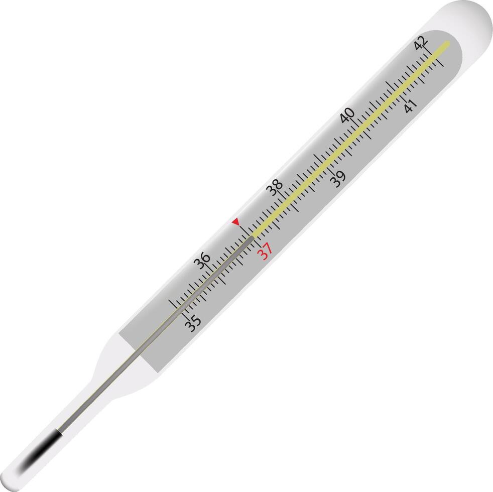 A thermometer on a white background vector
