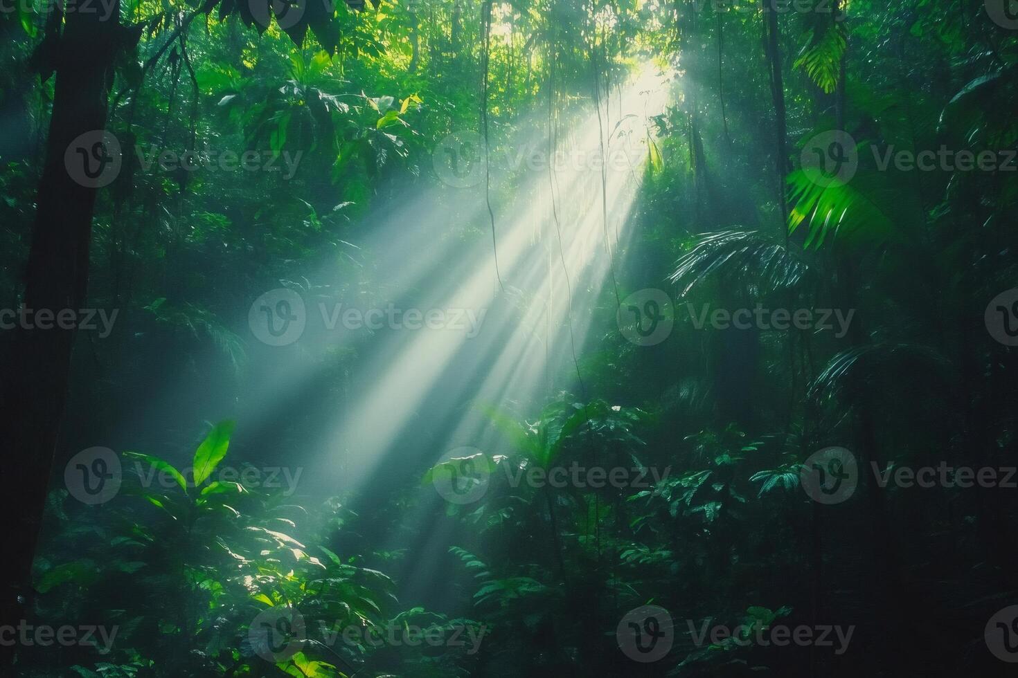 Sunbeams filtering through lush green canopy in tropical rainforest photo