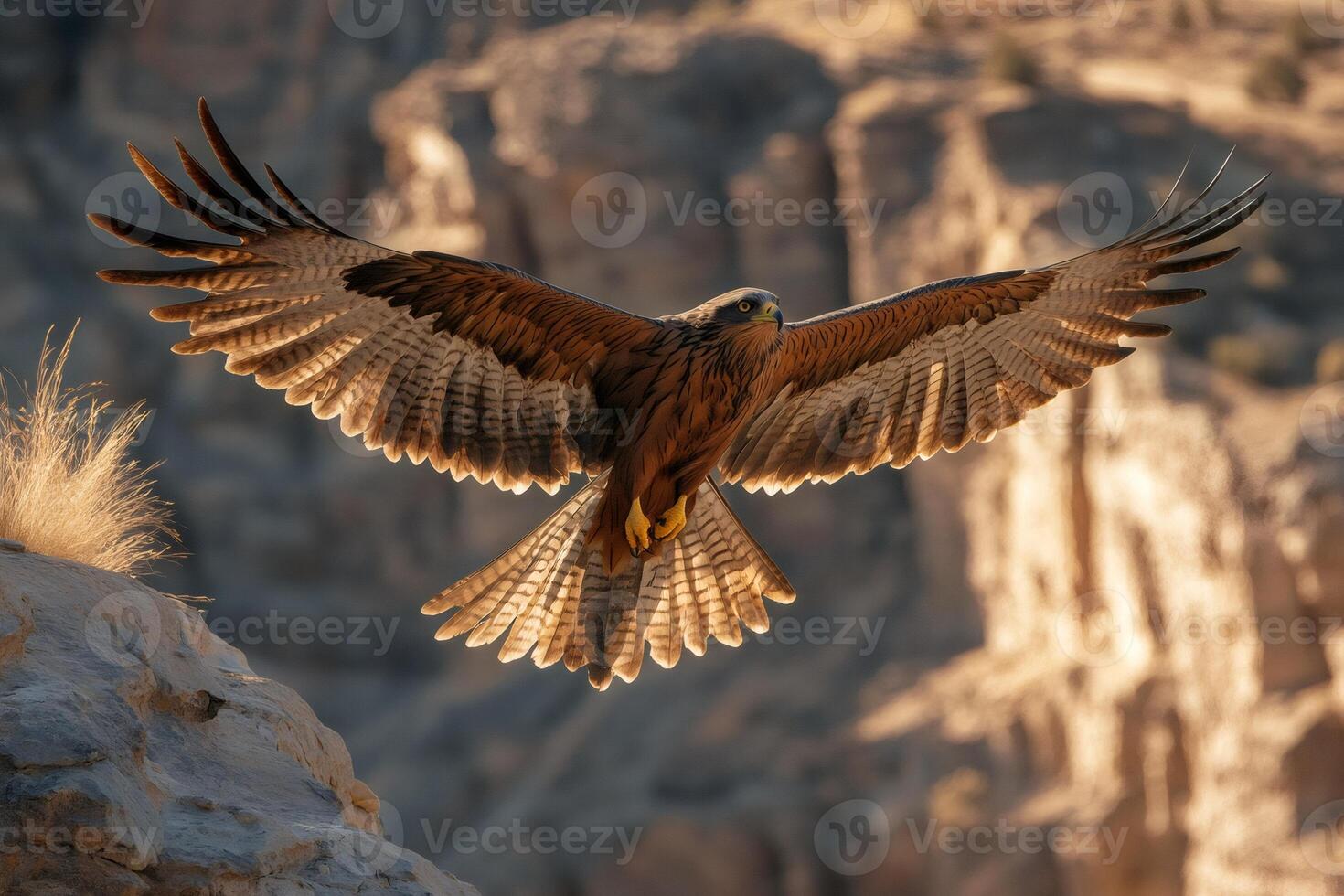 Majestic buteo rufinus, long-legged buzzard, flying over canyon landscape photo