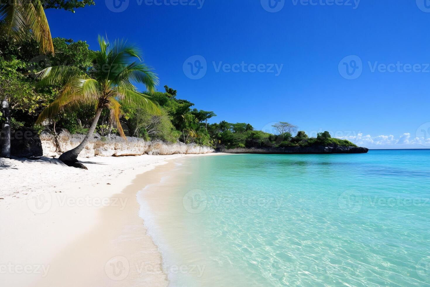 Tropical beach with palm trees and turquoise water inviting to relax photo