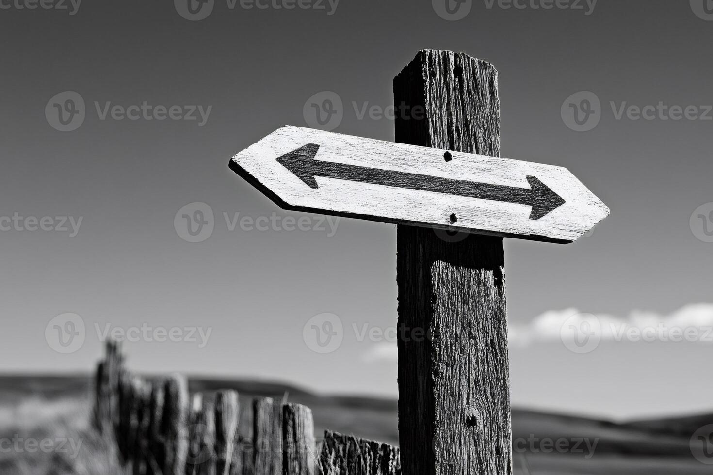 Double arrow sign pointing in opposite directions on wooden post photo