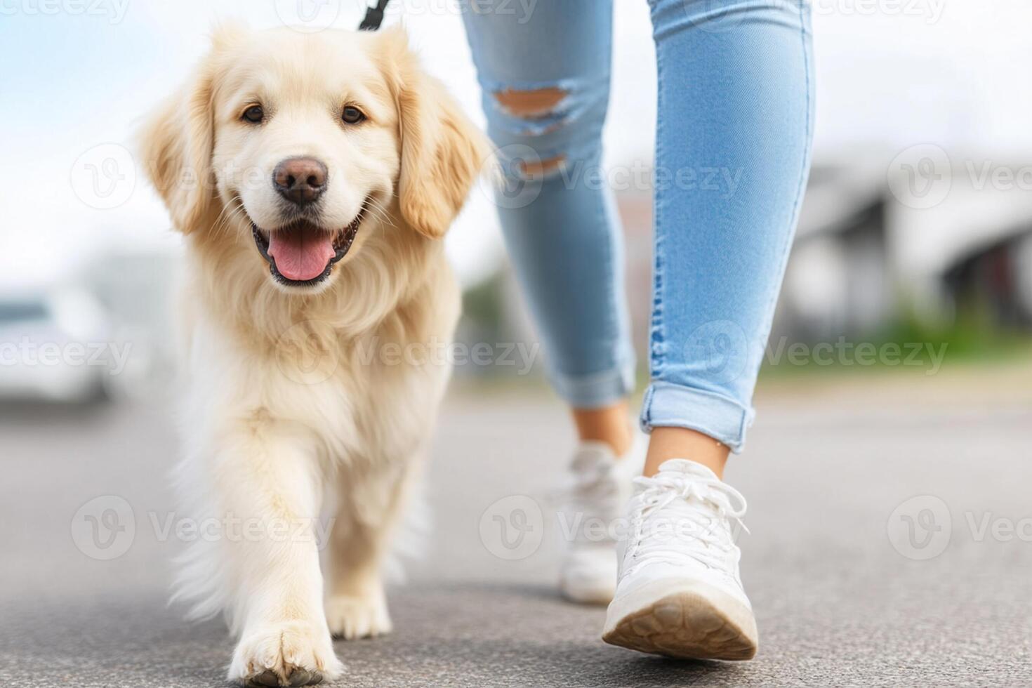 A woman walking her dog on a leash photo