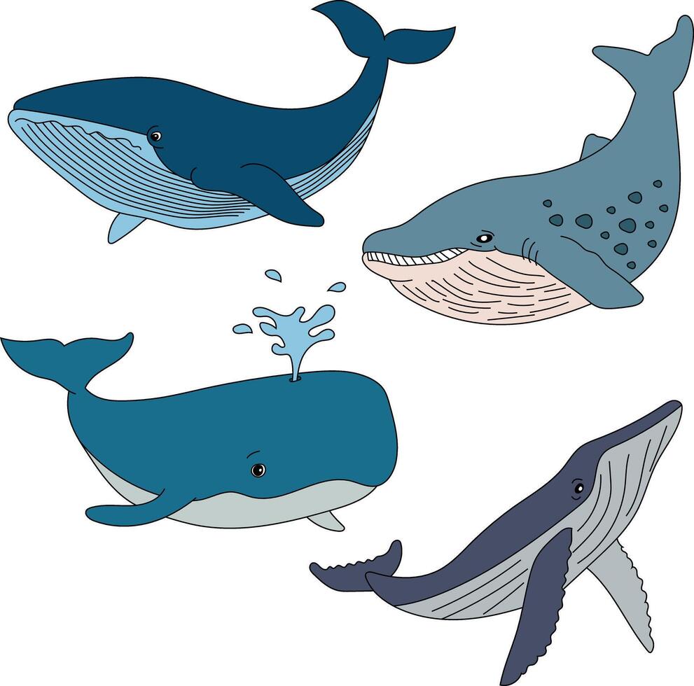 Hand-drawn Whale Clipart Doodles vector