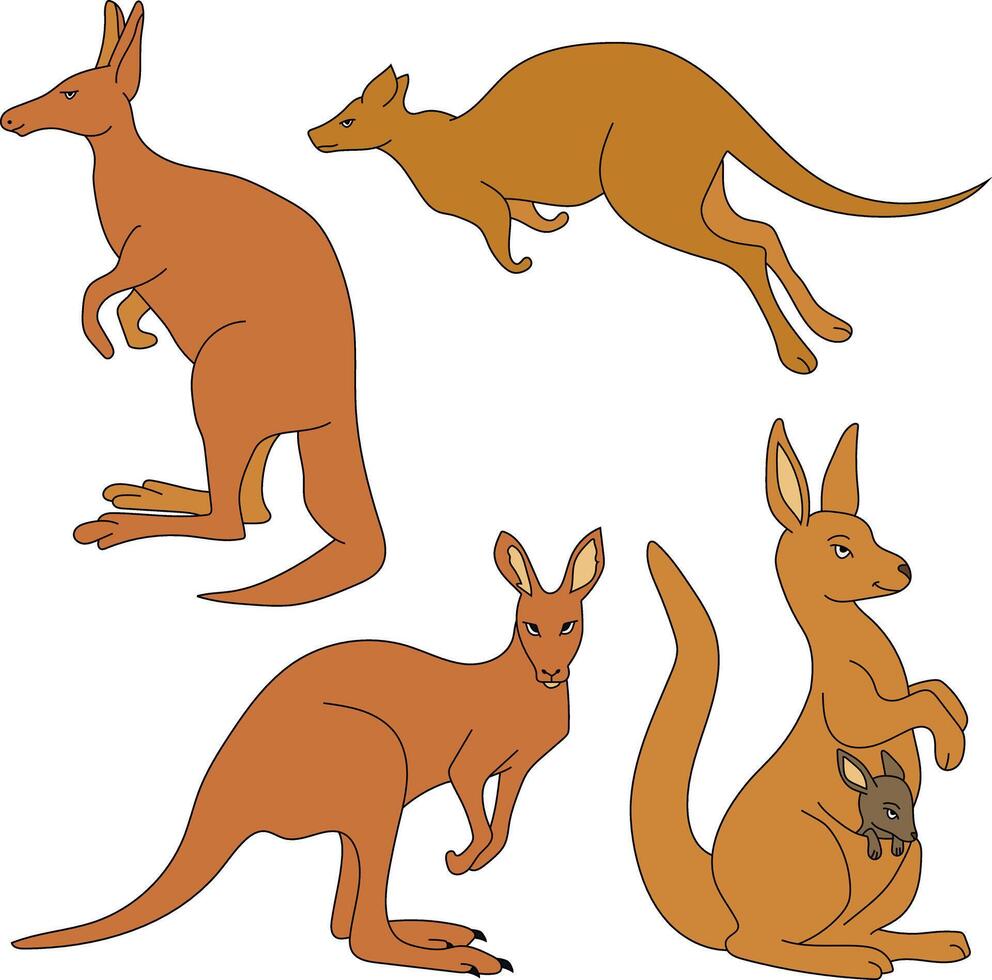 Hand-drawn Kangaroo Clipart Illustrations vector