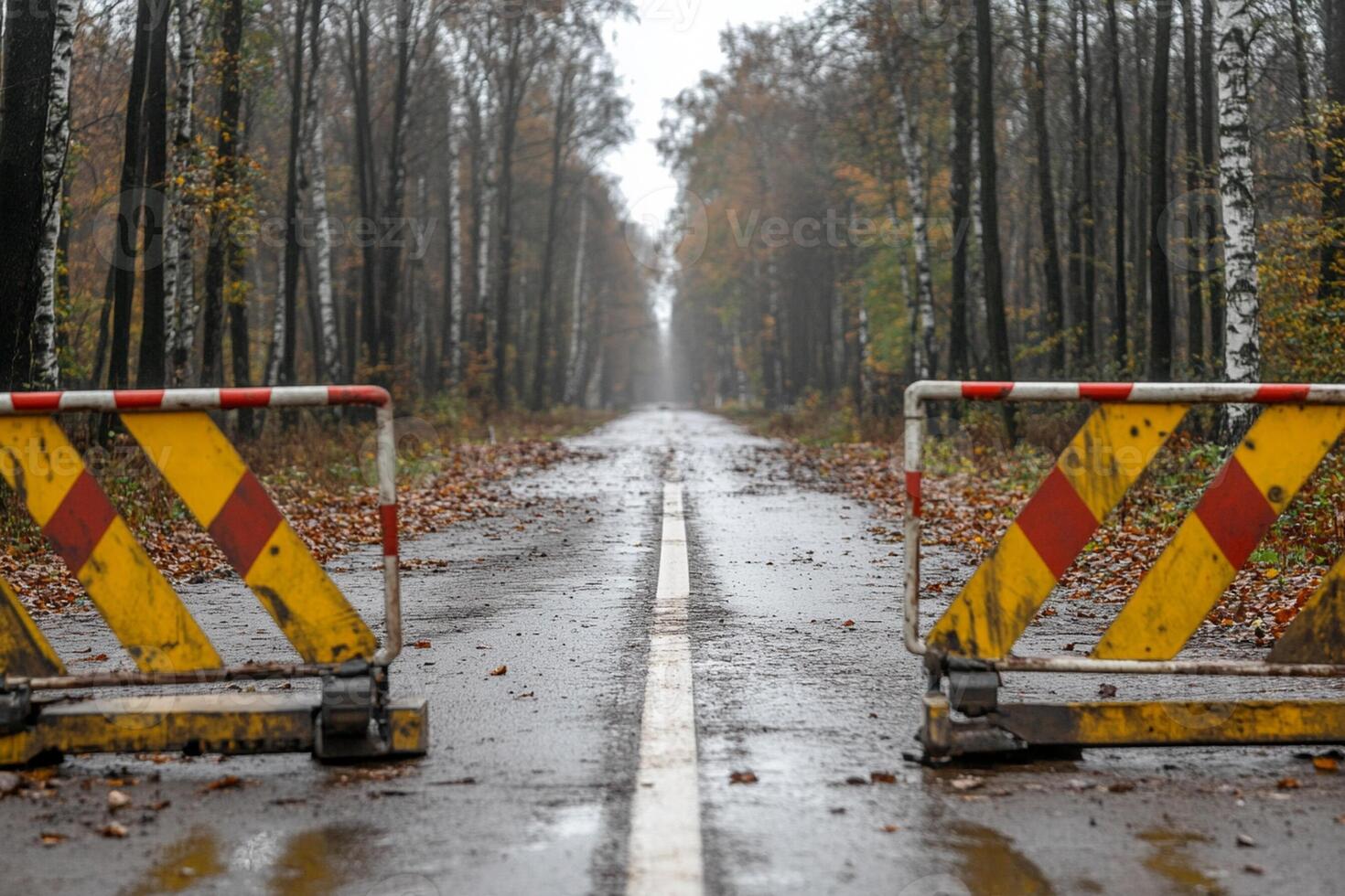 A road with barricades in the middle of it photo