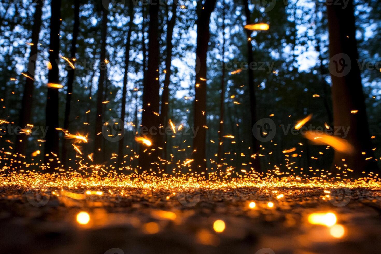 Fireflies in the forest at night photo