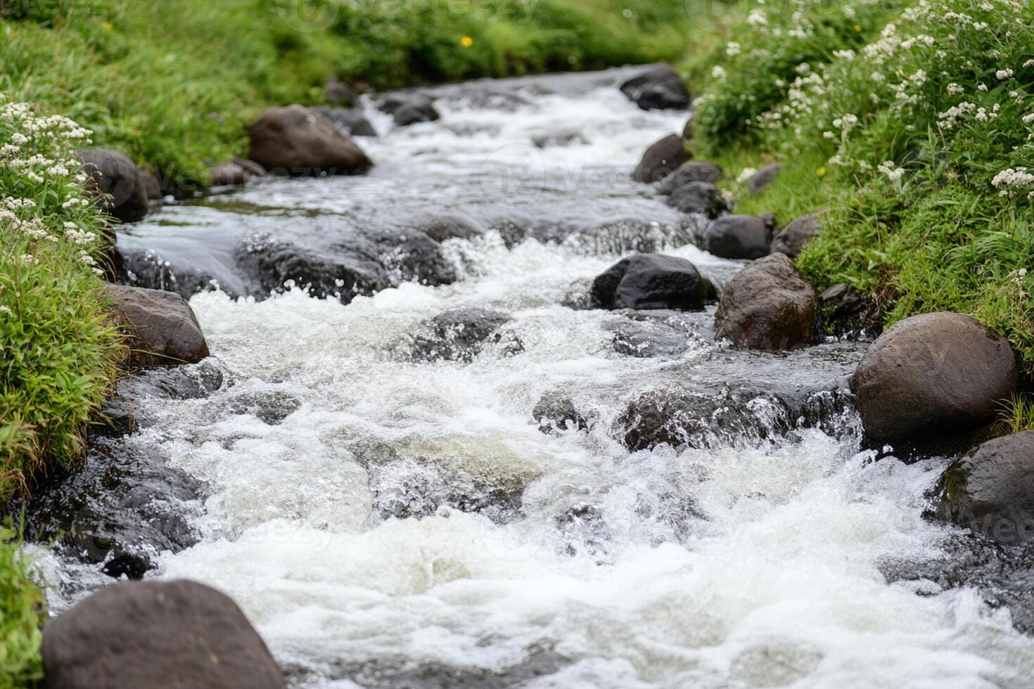 A stream of water flowing through a grassy field photo
