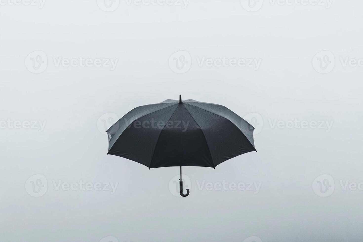 An umbrella is seen in the foggy sky photo