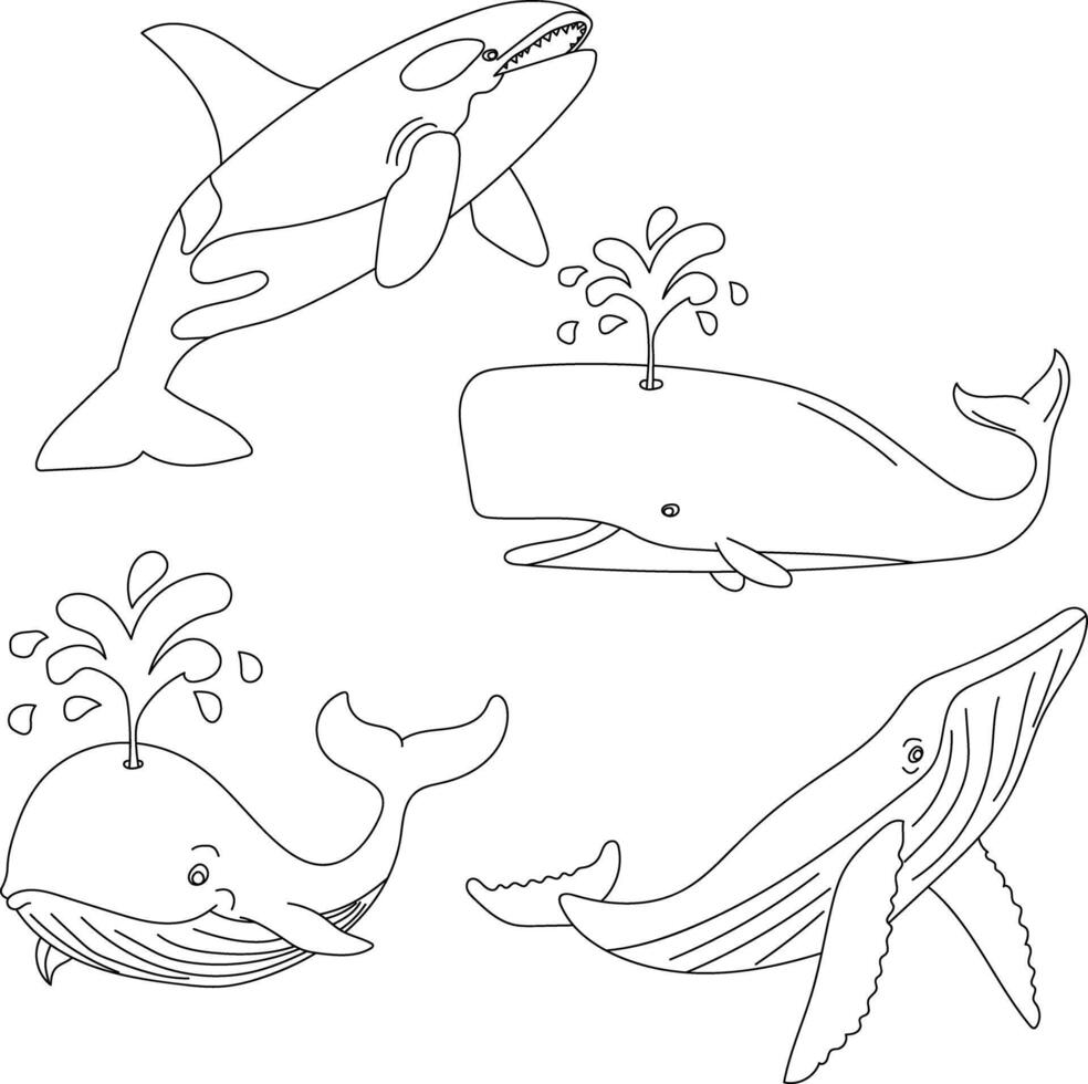 Whale Clipart Illustrations vector