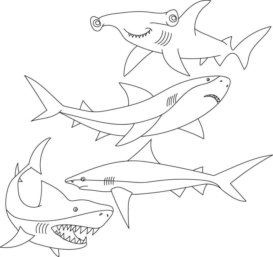 Doodle Shark Illustrations vector