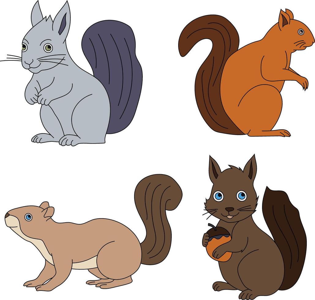 Cartoon Squirrel Clipart Illustrations vector